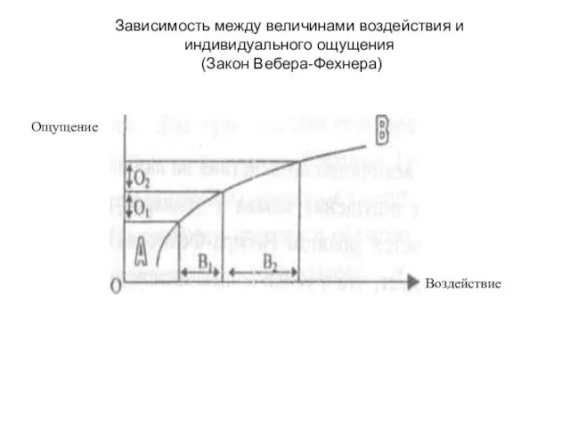 Воздействие Зависимость между величинами воздействия и индивидуального ощущения (Закон Вебера-Фехнера) Ощущение