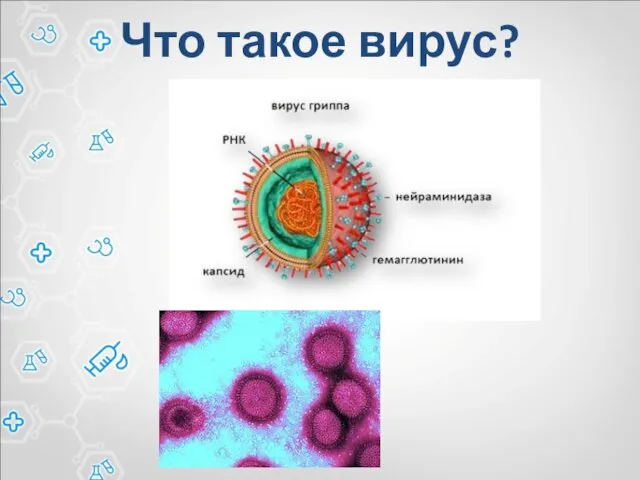 Что такое вирус?