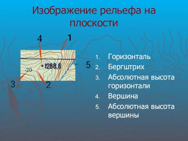 Изображение рельефа на плоскости Горизонталь Бергштрих Абсолютная высота горизонтали Вершина Абсолютная высота вершины