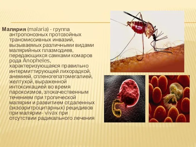 Малярия (malaria) - группа антропонозных протозойных трансмиссивных инвазий, вызываемых различными