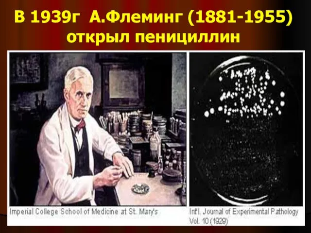 В 1939г А.Флеминг (1881-1955) открыл пенициллин