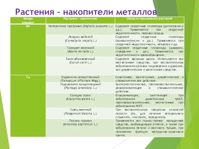 Растения – накопители металлов