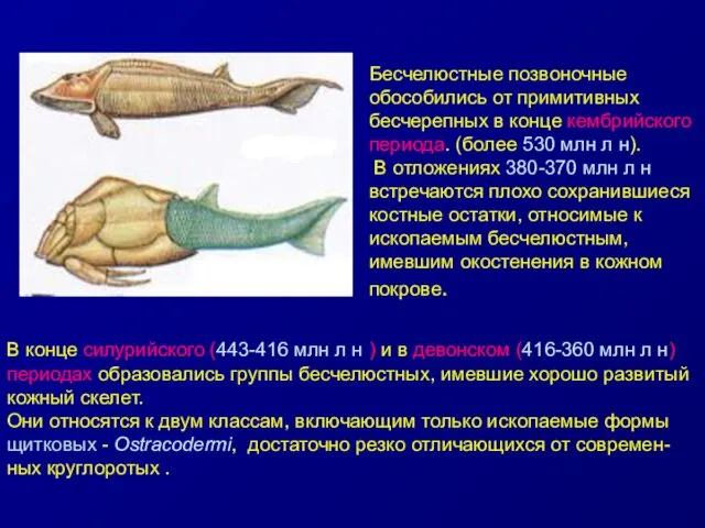 В конце силурийского (443-416 млн л н ) и в