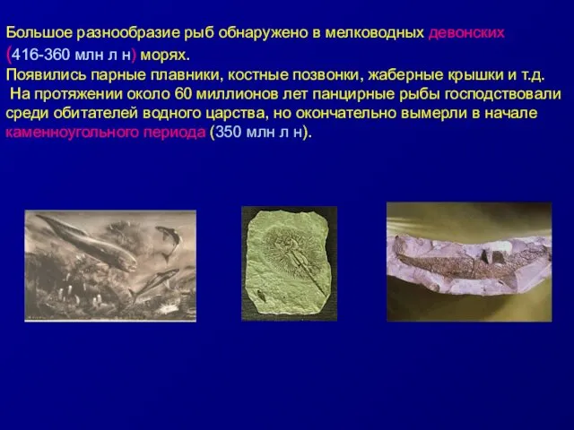 Большое разнообразие рыб обнаружено в мелководных девонских (416-360 млн л