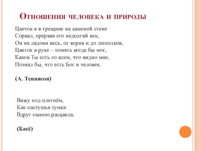 Отношения человека и природы Цветок я в трещине на каменой