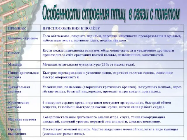 Особенности строения птиц в связи с полетом