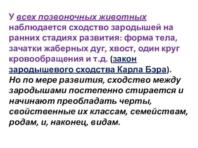 У всех позвоночных животных наблюдается сходство зародышей на ранних стадиях развития: форма тела,