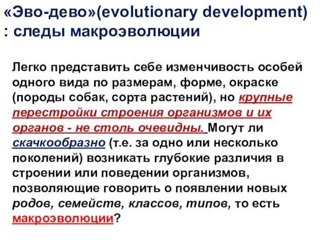 «Эво-дево»(evolutionary development) : следы макроэволюции Легко представить себе изменчивость особей