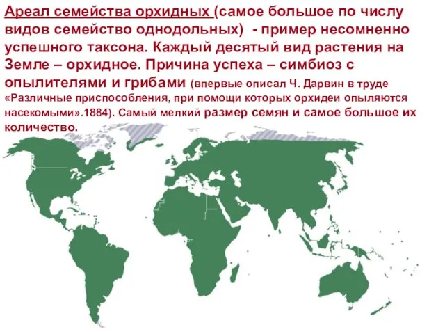 Ареал семейства орхидных (самое большое по числу видов семейство однодольных) - пример несомненно