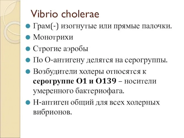 Vibrio cholerae Грам(-) изогнутые или прямые палочки. Монотрихи Строгие аэробы По О-антигену делятся