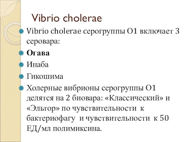Vibrio cholerae Vibrio cholerae cерогруппы О1 включает 3 серовара: Огава Инаба Гикошима Холерные