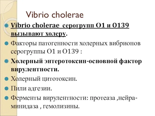 Vibrio cholerae Vibrio cholerae серогрупп О1 и O139 вызывают холеру. Факторы патогенности холерных