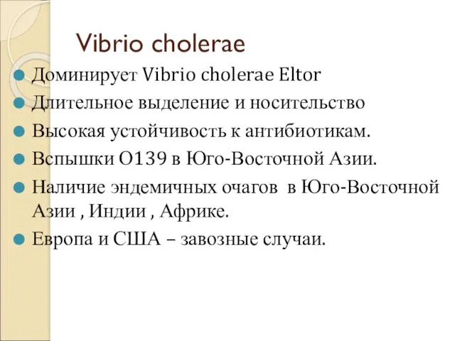 Vibrio cholerae Доминирует Vibrio cholerae Eltor Длительное выделение и носительство Высокая устойчивость к
