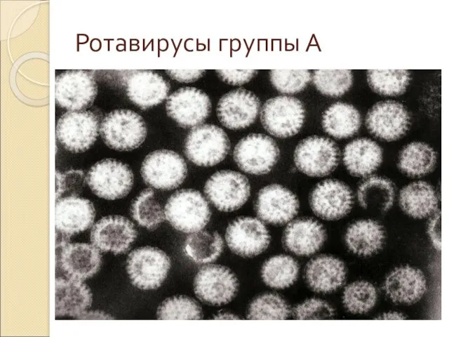 Ротавирусы группы А