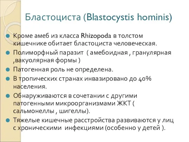 Бластоциста (Blastocystis hominis) Кроме амеб из класса Rhizopoda в толстом кишечнике обитает бластоциста