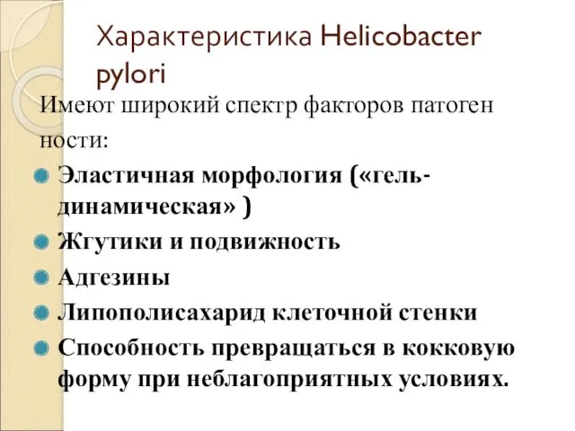 Характеристика Helicobacter pylori Имеют широкий спектр факторов патоген ности: Эластичная морфология («гель-динамическая» )