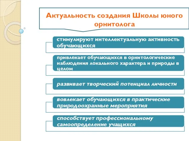 Актуальность создания Школы юного орнитолога