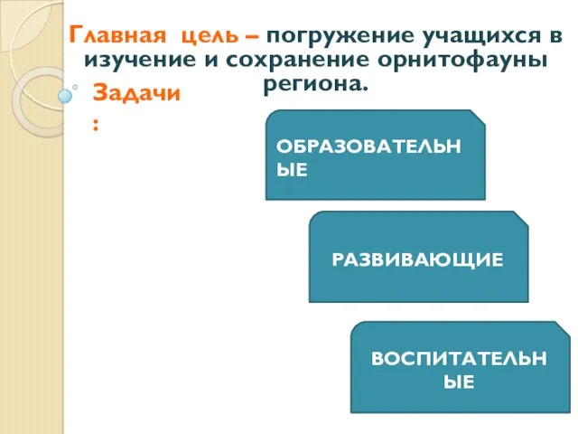 Главная цель – погружение учащихся в изучение и сохранение орнитофауны региона. ОБРАЗОВАТЕЛЬНЫЕ РАЗВИВАЮЩИЕ ВОСПИТАТЕЛЬНЫЕ Задачи: