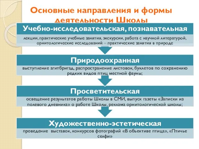 Основные направления и формы деятельности Школы