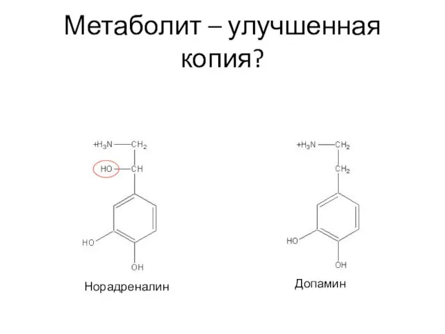 Метаболит – улучшенная копия? Норадреналин Допамин