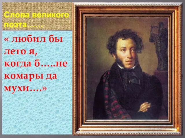 Слова великого поэта…… « любил бы лето я, когда б…..не комары да мухи….»