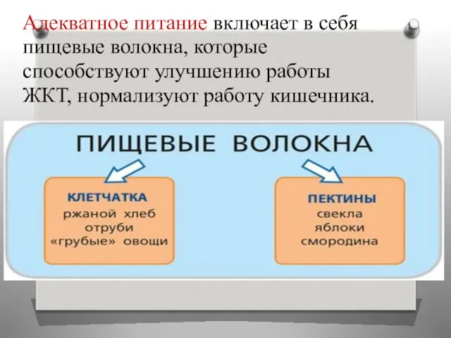 Адекватное питание включает в себя пищевые волокна, которые способствуют улучшению работы ЖКТ, нормализуют работу кишечника.