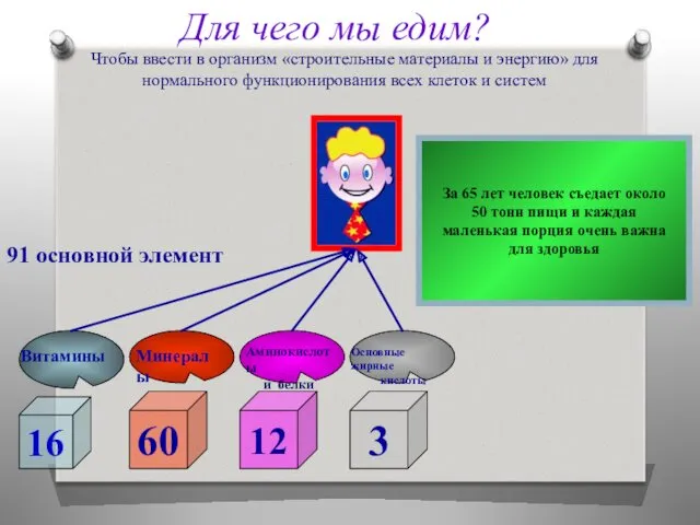 Для чего мы едим? Чтобы ввести в организм «строительные материалы