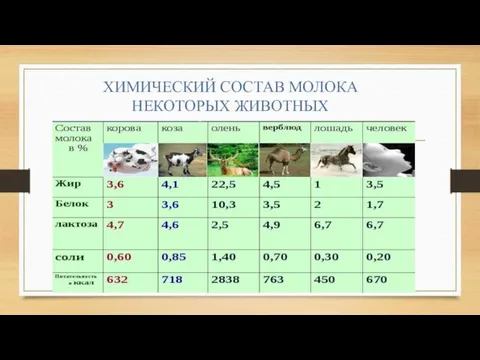 ХИМИЧЕСКИЙ СОСТАВ МОЛОКА НЕКОТОРЫХ ЖИВОТНЫХ