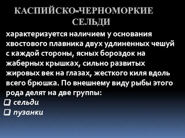 КАСПИЙСКО-ЧЕРНОМОРКИЕ СЕЛЬДИ характеризуется наличием у основания хвостового плавника двух удлиненных