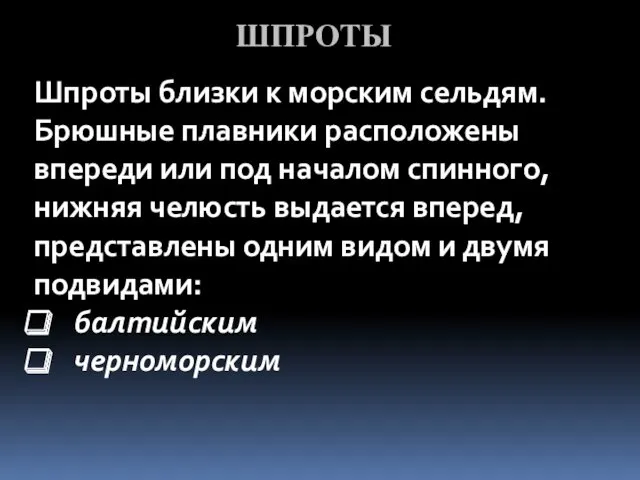 ШПРОТЫ Шпроты близки к морским сельдям. Брюшные плавники расположены впереди