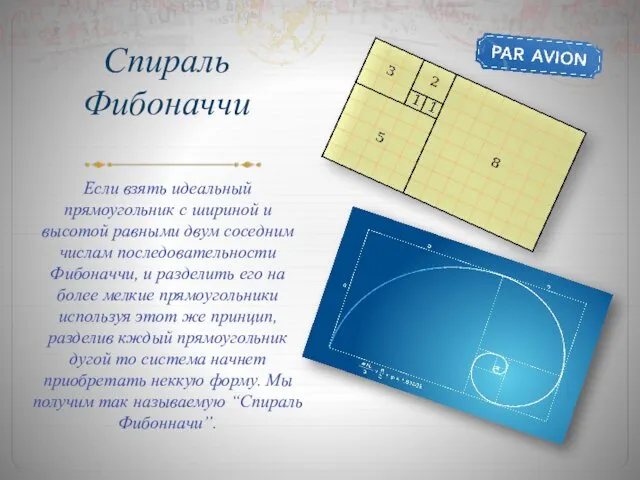 Спираль Фибоначчи Если взять идеальный прямоугольник с шириной и высотой