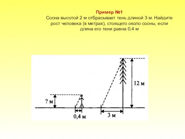 Пример №1 Сосна высотой 2 м отбрасывает тень длиной 3