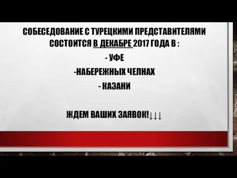 СОБЕСЕДОВАНИЕ С ТУРЕЦКИМИ ПРЕДСТАВИТЕЛЯМИ СОСТОИТСЯ В ДЕКАБРЕ 2017 ГОДА В