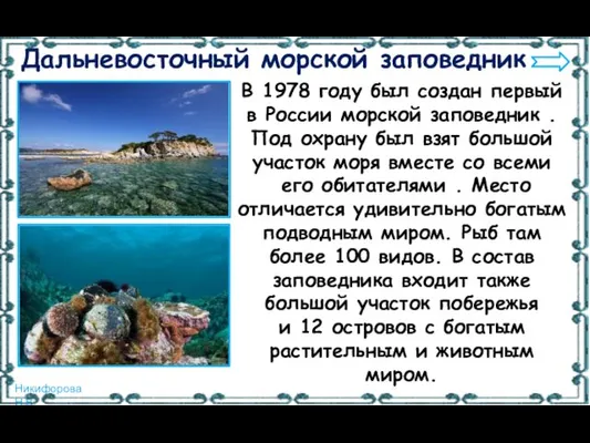 Дальневосточный морской заповедник В 1978 году был создан первый в