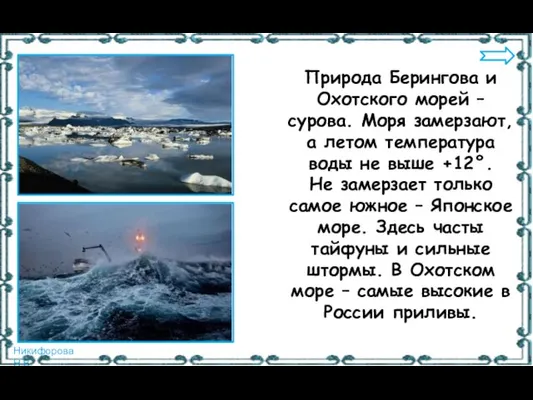 Природа Берингова и Охотского морей – сурова. Моря замерзают, а