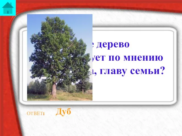 Какое дерево символизирует по мнению предков отца, главу семьи? ОТВЕТ: Дуб