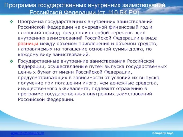 Программа государственных внутренних заимствований Российской Федерации (ст. 110 БК РФ) www.themegallery.com Company Logo