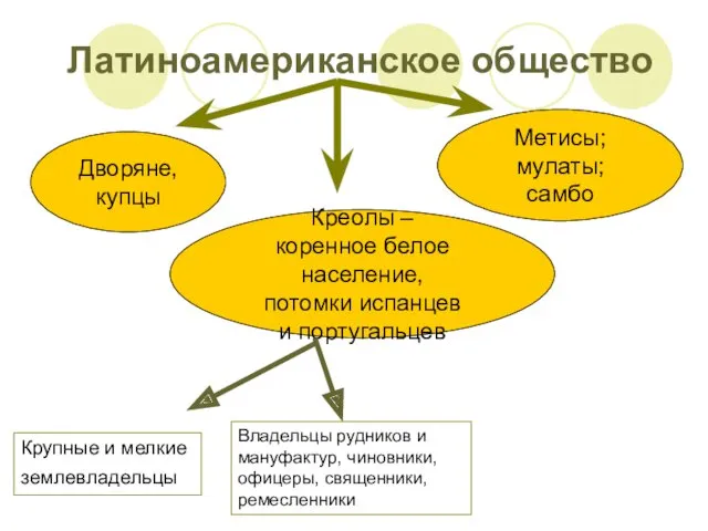 Латиноамериканское общество Дворяне, купцы Креолы – коренное белое население, потомки