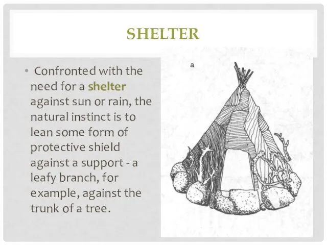 SHELTER Confronted with the need for a shelter against sun