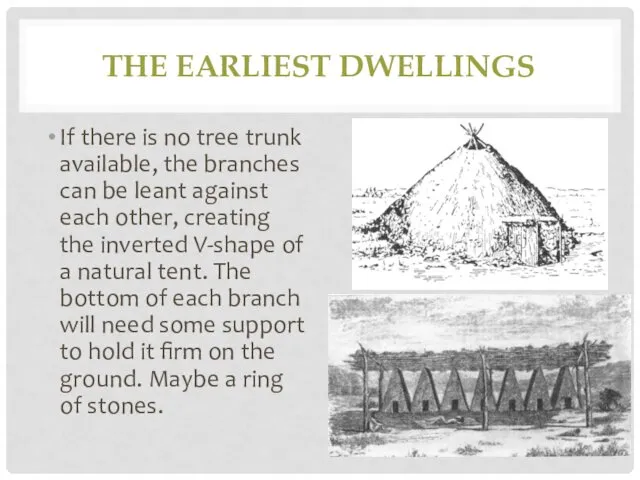 THE EARLIEST DWELLINGS If there is no tree trunk available,