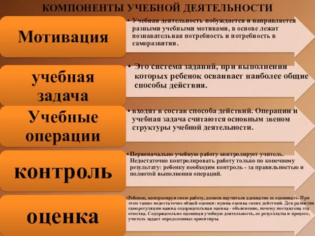 КОМПОНЕНТЫ УЧЕБНОЙ ДЕЯТЕЛЬНОСТИ