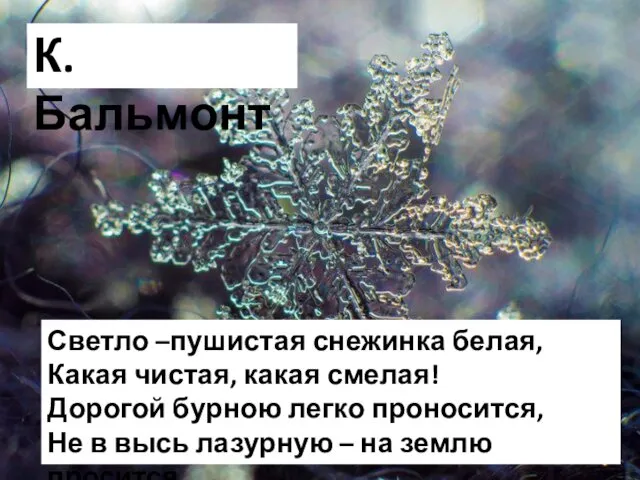 К. Бальмонт Светло –пушистая снежинка белая, Какая чистая, какая смелая!