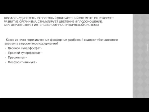 ФОСФОР – УДИВИТЕЛЬНО ПОЛЕЗНЫЙ ДЛЯ РАСТЕНИЙ ЭЛЕМЕНТ. ОН УСКОРЯЕТ РАЗВИТИЕ