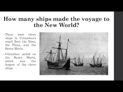 How many ships made the voyage to the New World?