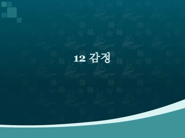 12 감정