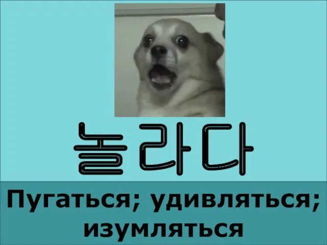 놀라다 Пугаться; удивляться; изумляться