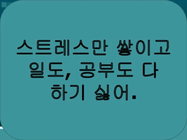 스트레스만 쌓이고 일도, 공부도 다 하기 싫어.