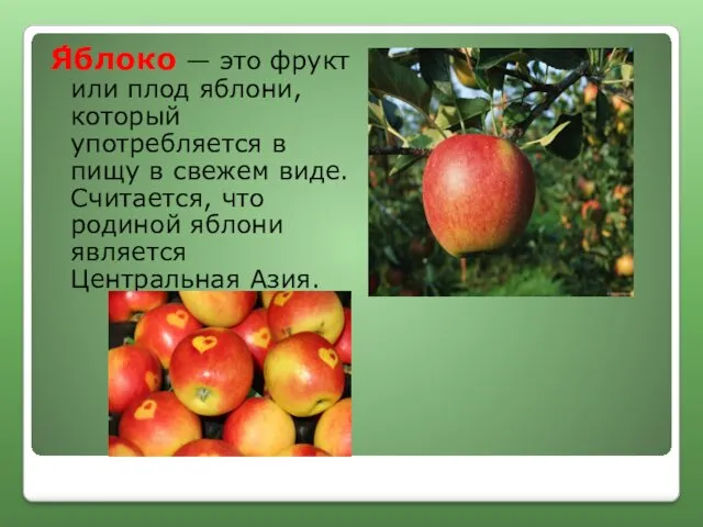 Я́блоко — это фрукт или плод яблони, который употребляется в