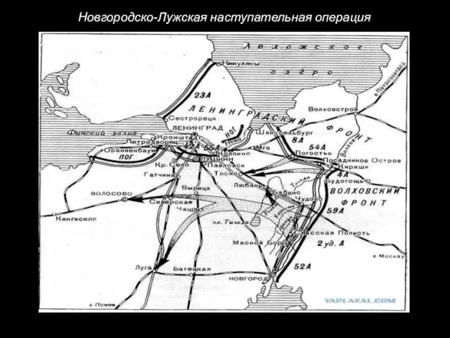 Новгородско-Лужская наступательная операция
