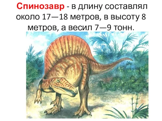 Спинозавр - в длину составлял около 17—18 метров, в высоту 8 метров, а весил 7—9 тонн.